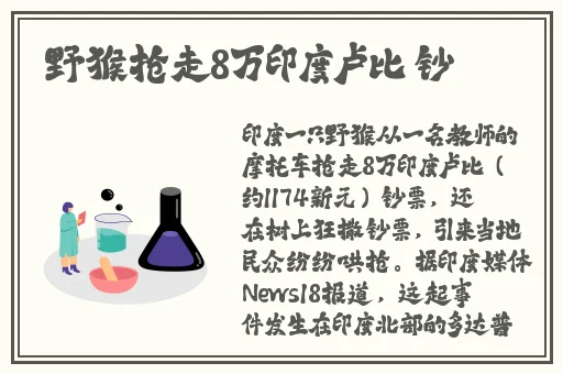 91精品国产综合久久久久久老师